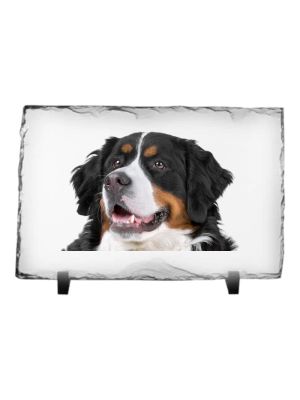 Leistenen fotolijst - 20x15 cm